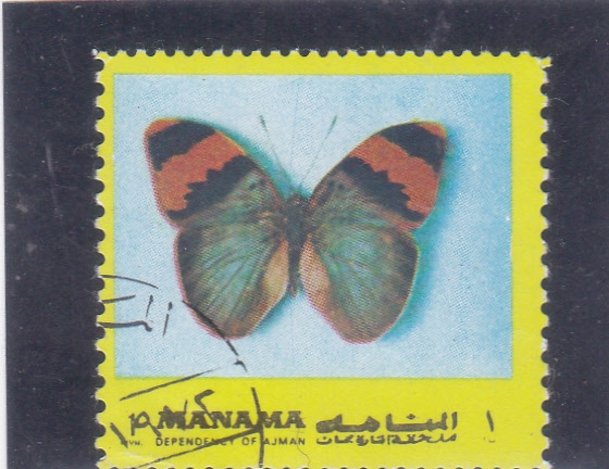 Mariposa