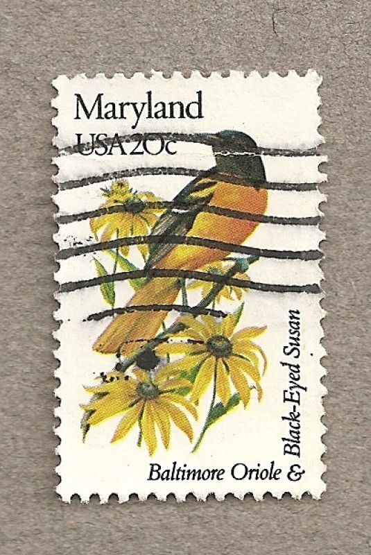 Flores y aves-Maryland