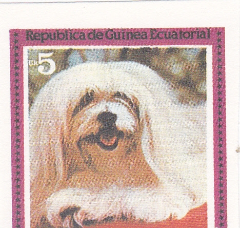 perros de raza