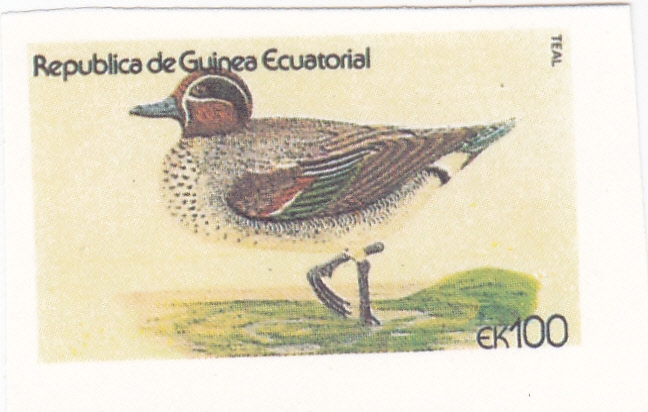 pato