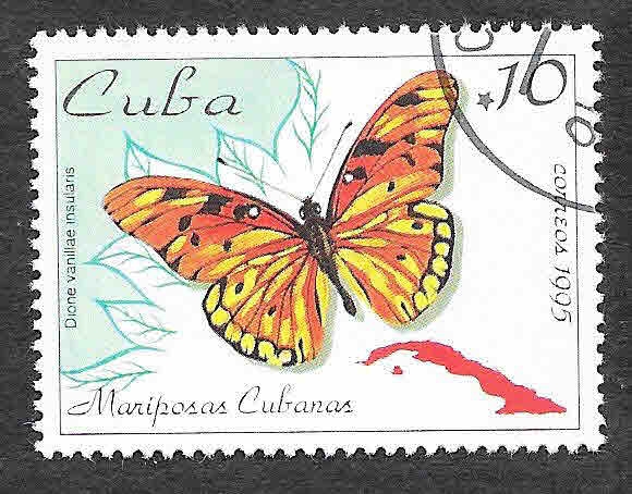 3645 - Mariposa