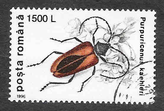 4090 - Insecto