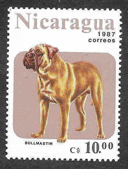 1633 - Perro
