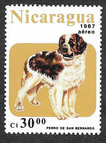 1637 - Perro