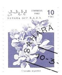 flores