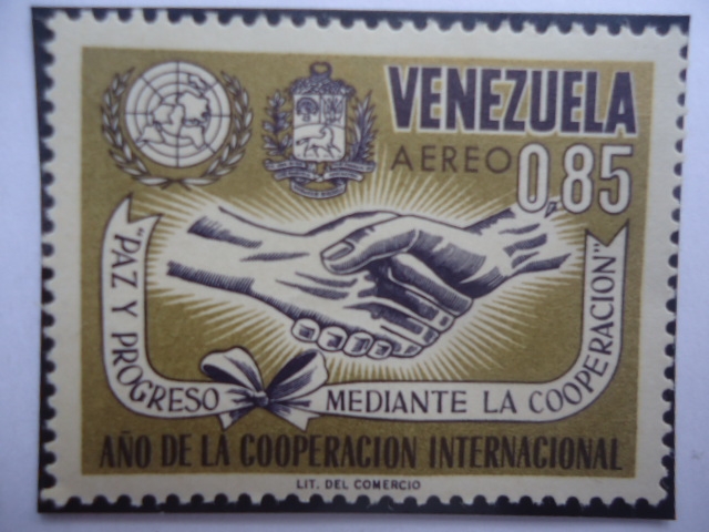 Año de la Coopereación Internacional - Paz y Progreso Mediante la Cooperación