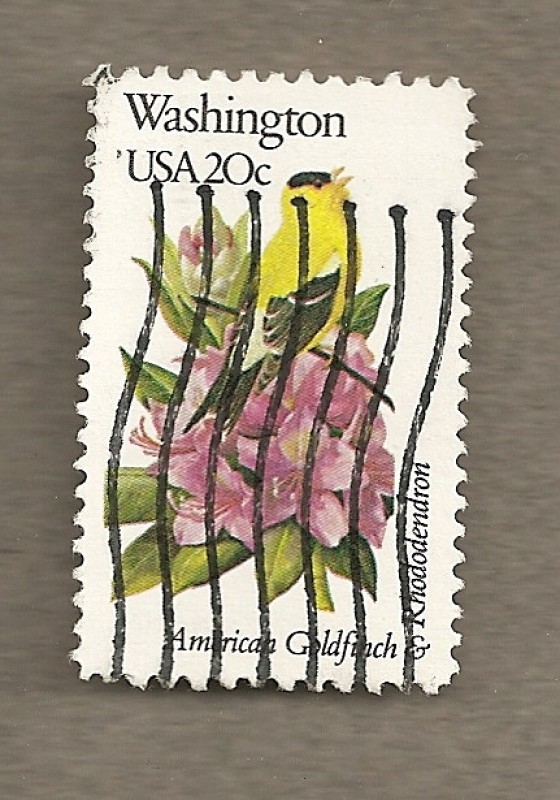 Flores y aves-Washington