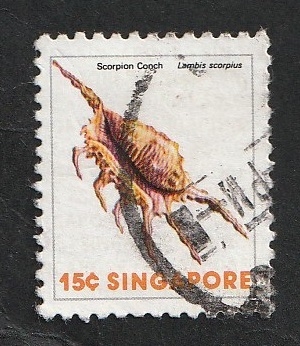 265 - Concha, Lambis scorpius