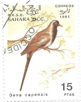 aves