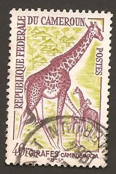 372
