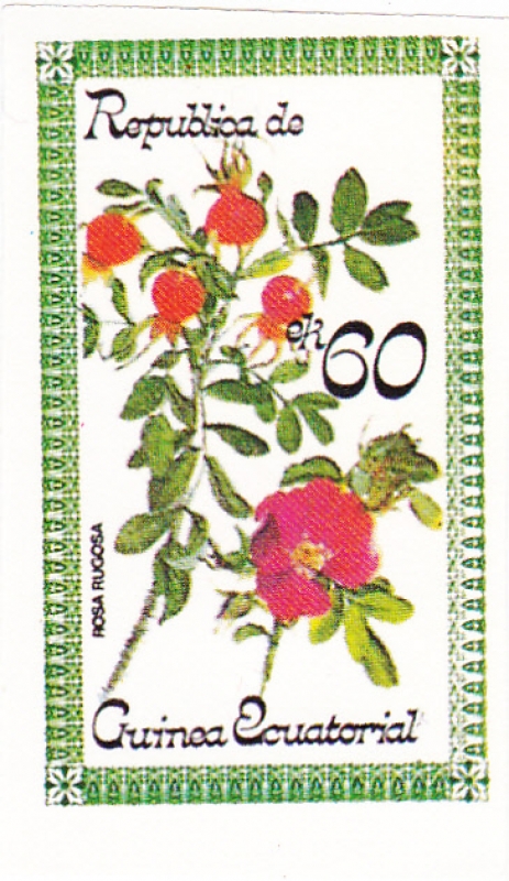 FLORES