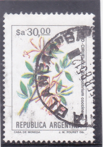FLORES-CIRUELILLO