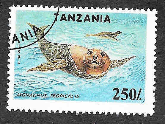 1291 - Foca Monje del Caribe