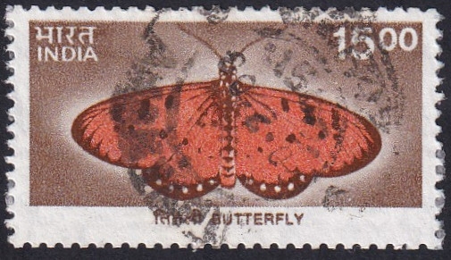 mariposa