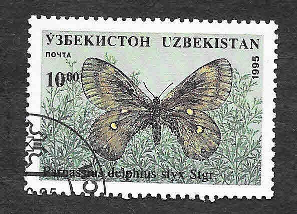 82 - Mariposa