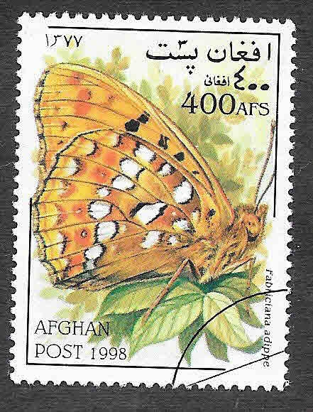 Mi1798 - Mariposa