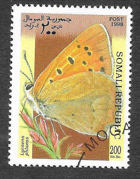 Mariposa (C)