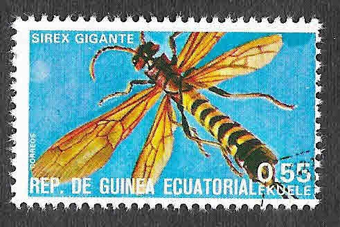 Yt115L - Sirex Gigante