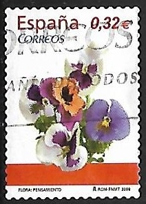 Flores - Pensamiento
