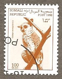 SC8