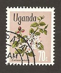 123