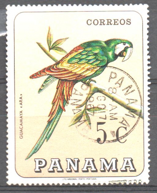 GUACAMAYA  ARA