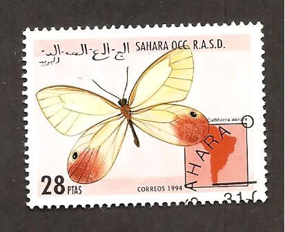 SC38
