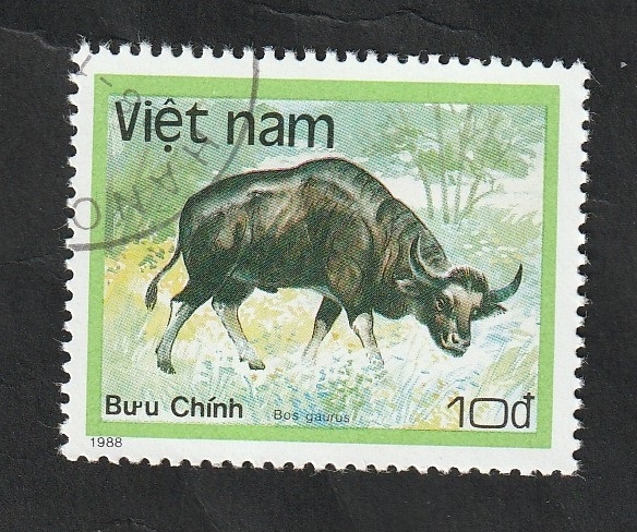 877 - Animal proteguido