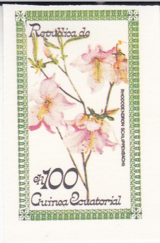 FLORES-