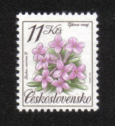 Protección de la naturaleza, Daphne cneorum