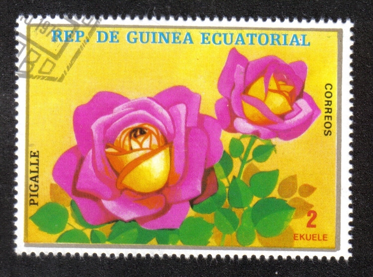 Flowers (IX) Roses