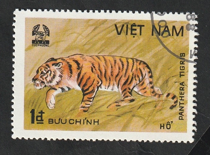 280 - Animal salvaje