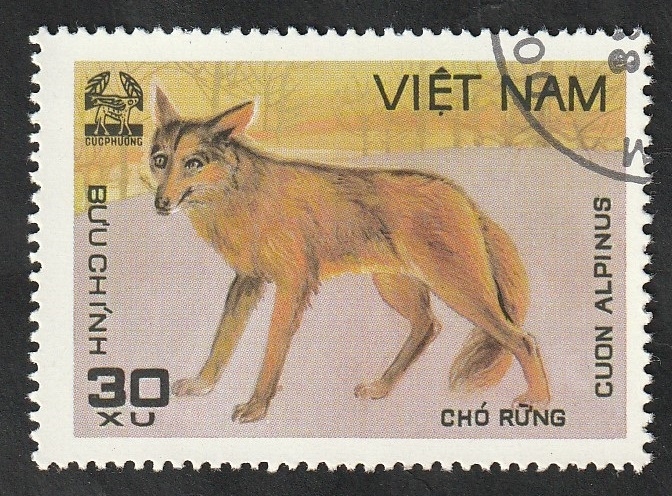 276 - Animal salvaje