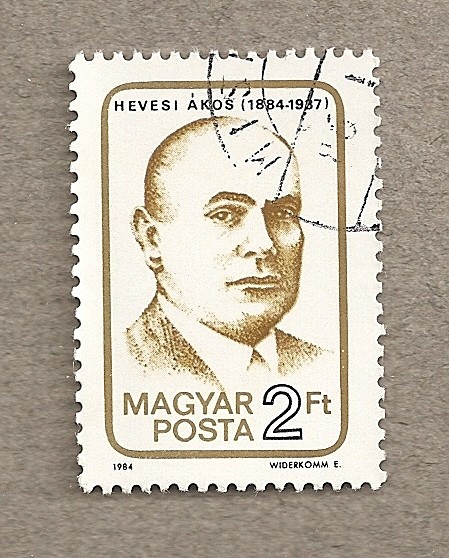 Akos Hevesi, revolucionario