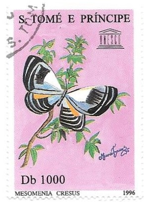 mariposas