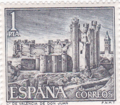 CASTILLO DE VALENCIA DE DON JUAN (42)