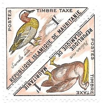 aves
