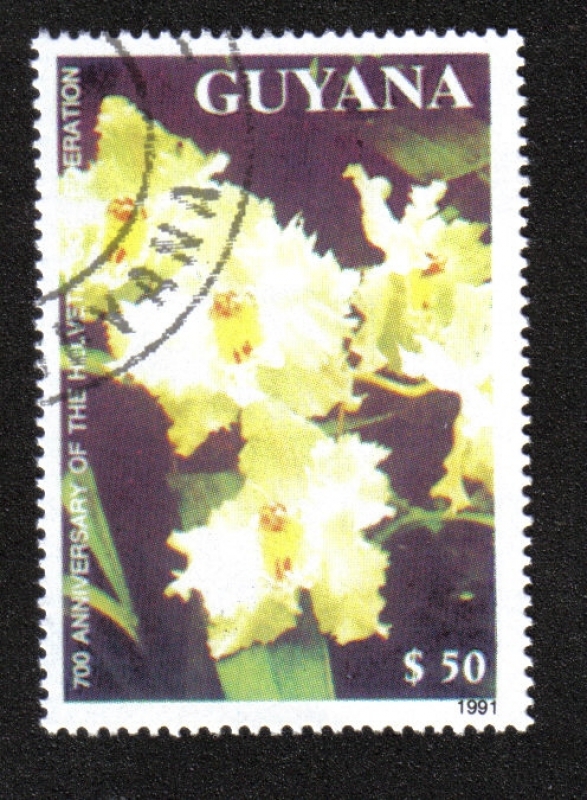 Orquídeas