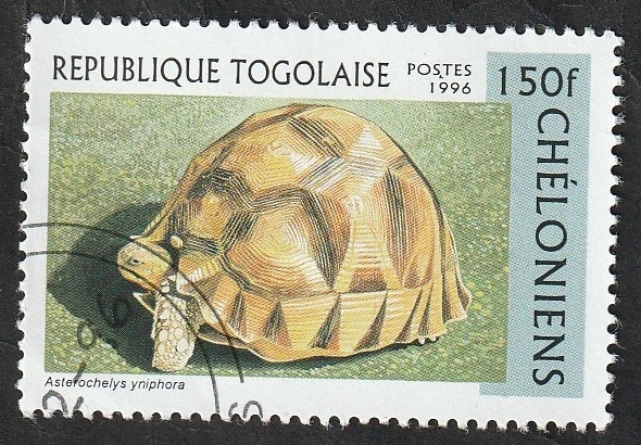 1517 - Tortuga