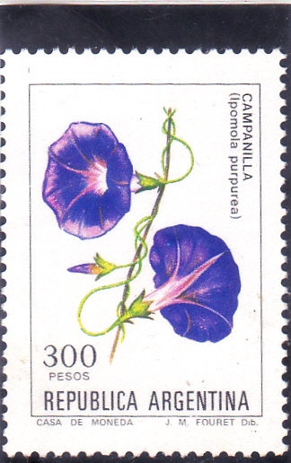 FLORES- CAMPANILLA 