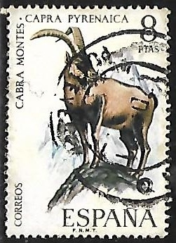Fauna hispanica - Cabra Montes