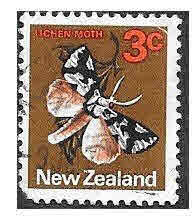 442 - Polilla