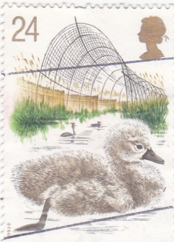 PATOS