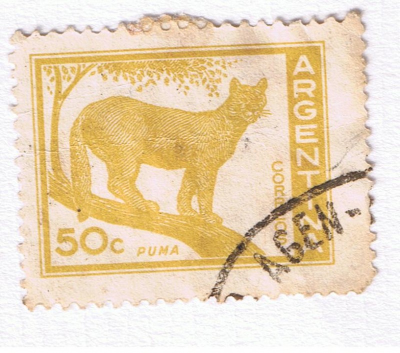 Puma