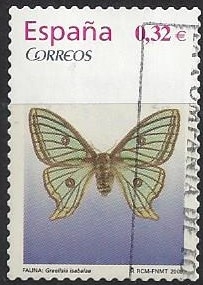 4464_Graélisia