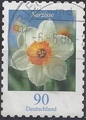 2006 - Narzisse
