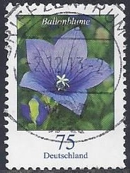 2011 - Ballonblume