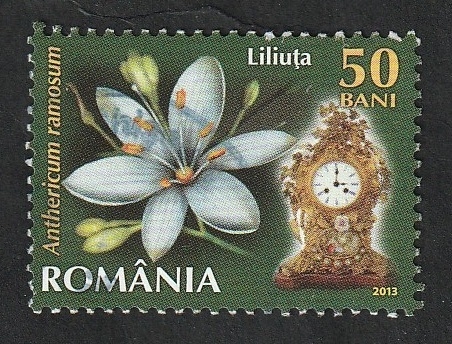 5693 - Flores y relojes en el Museo del Reloj