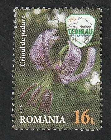 6058 - Flor, lilium martagon