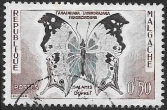 mariposa